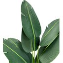 Ver imagem 4 de Bananeira Viajante Artificial Grande Planta 150cm