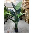 Ver imagem 2 de Bananeira Viajante Artificial Grande Planta 150cm