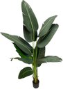 Ver imagem 3 de Bananeira Viajante Artificial Grande Planta 150cm