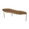 Mesa de Centro para Sala de Estar Formato Orgânico Lotus - 2