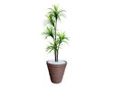 Ver imagem 1 de Planta Artificial Árvore Yucca 1,60m Kit + Vaso Redondo D. Grafiato Marrom 40cm