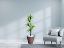 Ver imagem 2 de Planta Artificial Árvore Yucca 1,60m Kit + Vaso Redondo D. Grafiato Marrom 40cm