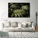 Ver imagem 1 de Quadro Decorativo Planta Costela de Adão Horizontal Com Moldura Sem Vidro 60X90