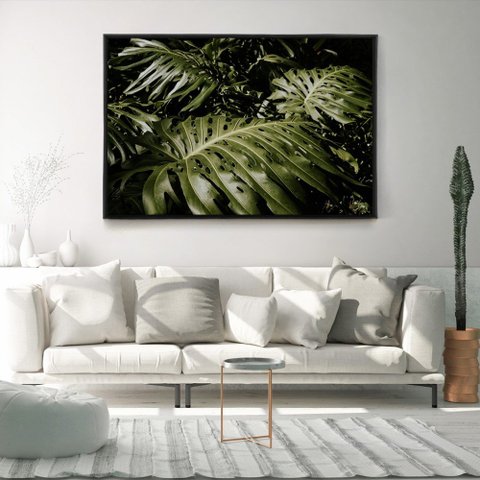 Quadro Decorativo Planta Costela de Adão Horizontal Com Moldura Sem Vidro 60X90
