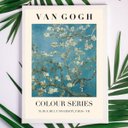 Ver imagem 1 de Quadro Decorativo Van Gogh Cerejeiras 24x18cm:madeira Branca