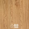 Piso Vinílico Auto Colante Angelim Madeira Premium 2mm Único com Proteção 5m2 com Garantia Big Obra - 7