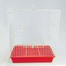 Gaiola Viveiro para Periquito Australiano Canários Pássaros Vermelho - 1
