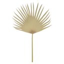 Ver imagem 1 de Haste de Folha Eva Latania Leque Palha 77cm