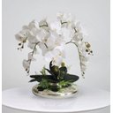Ver imagem 1 de Arranjo com 6 Orquídeas Artificias Brancas Vaso Ikebana