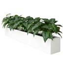 Ver imagem 1 de Kit 5 Filodendros Artificiais Premium 55cm Folhas Verdes para Aparador e Estante