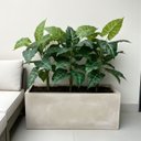Ver imagem 5 de Kit 5 Filodendros Artificiais Premium 55cm Folhas Verdes para Aparador e Estante