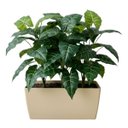 Ver imagem 4 de Kit 5 Filodendros Artificiais Premium 55cm Folhas Verdes para Aparador e Estante