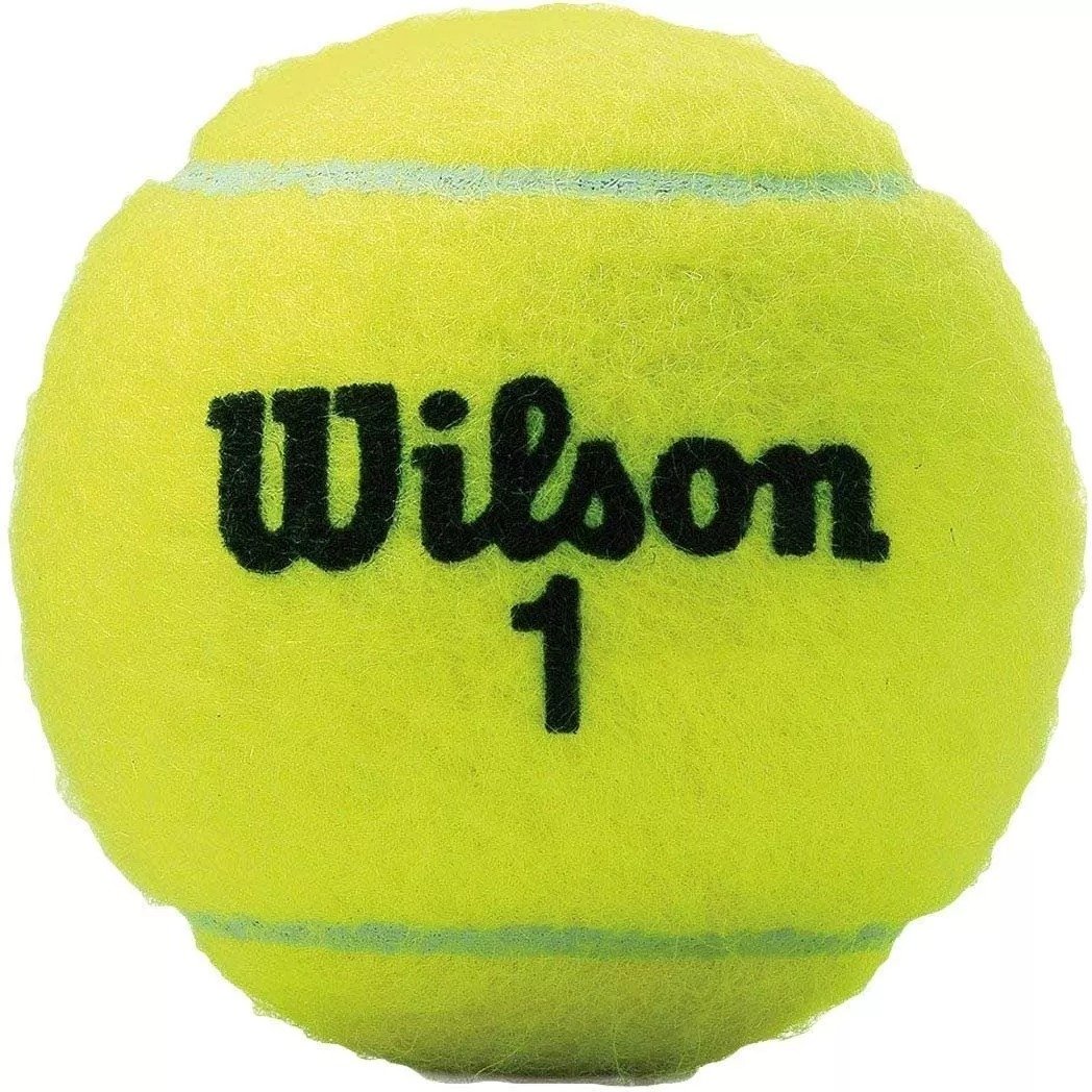 Caixa de Bola Wilson Championship Extra Duty - 6