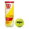 Caixa de Bola Wilson Championship Extra Duty - 1