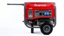 Ver imagem 2 de GERADOR BRANCO B4T-13000E PARTIDA ELÉTRICA