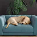 Ver imagem 5 de Caminha Pet Casinha Azul Georgia, Modelo Mini Poltrona – Larbelle