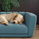 Ver imagem 4 de Caminha Pet Casinha Azul Georgia, Modelo Mini Poltrona – Larbelle