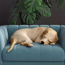 Ver imagem 2 de Caminha Pet Casinha Azul Georgia, Modelo Mini Poltrona – Larbelle