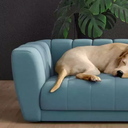 Ver imagem 3 de Caminha Pet Casinha Azul Georgia, Modelo Mini Poltrona – Larbelle