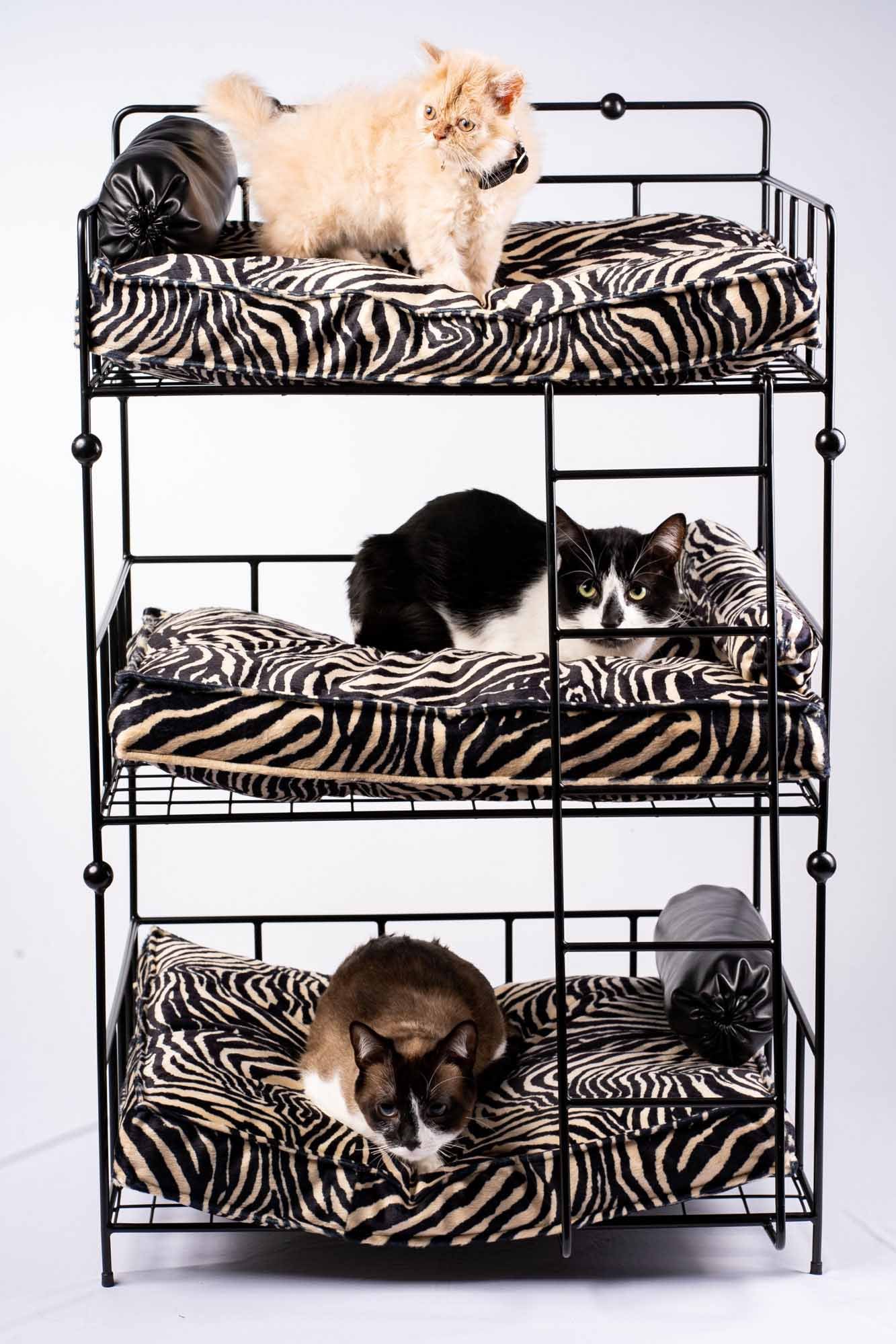 Cama Para Gatos Habau Con Cojín Y Estructura De Polietileno
