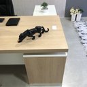 Ver mais imagens de Kit 3 Peças com Mesa para Escritório Diretor em L, Armário Multiuso Baixo e Gaveteiro 3 Gavetas