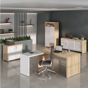 Kit 4 Peças com Mesa para Escritório Diretor em L, Armário Multiuso Alto, Armário Baixo e Balcão com