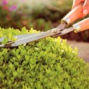 Ver imagem 6 de Tesoura para Cerca Viva/grama Tramontina 78331/125