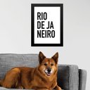 Ver imagem 2 de Quadro Decorativo Tipografia Rio de Janeiro 45x34cm:moldura Branca