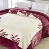 Cobertor Raschel Plus Estampa Mazurca 180cm X 220cm - 2