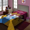 Cobertor Raschel Plus Disney Charme de Princesas 1,50 M X 2,00 M - 2