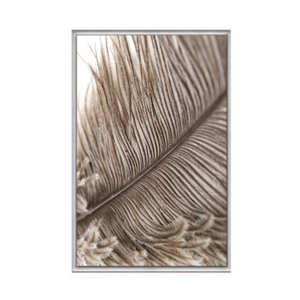 Quadro Decorativo - Pena Passaro Abstrata Flnt044 - Tela Canvas - 80x60cm