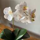 Ver imagem 2 de Orquídea Branca Artificial Arranjo no Vaso Espelhado Flores Permanentes