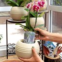 Ver imagem 2 de Vaso Búzios 13x14cm