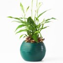 Ver imagem 2 de Vaso Búzios 13x14cm