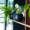 Ver imagem 2 de Vaso Búzios 13x14cm