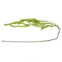 Ver imagem 3 de Galho Pick Verde 90cm Natal Tok da Casa