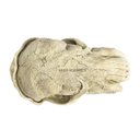 Ver imagem 6 de Enfeite Aquário Jardim Vaso Plantas Paisagismo 54099