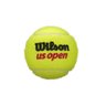 Tubo de Bola de Tênis Wilson Us Open Extra Duty - 1