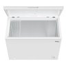 Freezer Horizontal Philco Pfh260b 246 Litros Branco 127v - 3