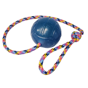 Brinquedo para Cães Bola Agility Cristal Lisa Guia 75mm