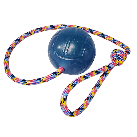 Brinquedo para Cães Bola Agility Cristal Lisa Guia 75mm