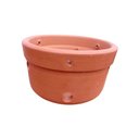 Ver imagem 2 de Vaso de Cerâmica para Cultivo de Orquídeas N 3