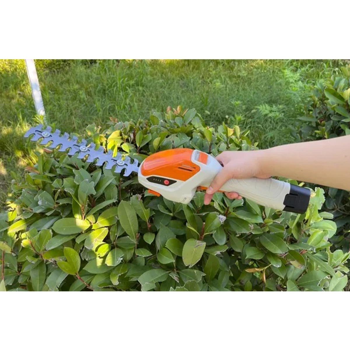 Podador Aparador de Arbusto Cerca Vida Arvore Grama 2 Laminas Sem Fio Portatil Erva Daninha Jardim Q - 10