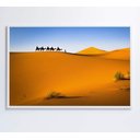 Ver imagem 5 de Quadro Camelos Deserto Saara Decor&quadros Nat150 90x60 Cm Vidro Impresso