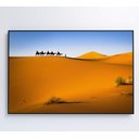 Ver mais imagens de Quadro Camelos Deserto Saara Decor&quadros Nat150 90x60 Cm Vidro Impresso