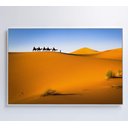 Ver imagem 7 de Quadro Camelos Deserto Saara Decor&quadros Nat150 90x60 Cm Vidro Impresso