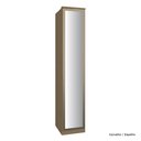 Ver imagem 1 de Guarda Roupa Modulado 01 Porta Vidro 245cm com Prateleira Setiba