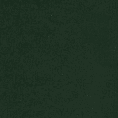 Poltrona Ella Fixa Fastsofajmar Verde Escuro