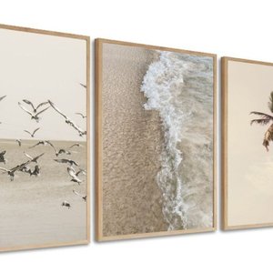 Kit 3 Quadros Decorativos Praia Mar Coqueiro Pássaros Boho 60x40 Vinil