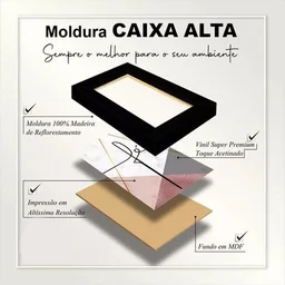Kit 3 Quadros Decorativos Disciplina Execução Foco Leão - 2